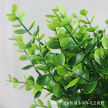 �S�ҹ������滨�ٻ����ϸɻ� �ȼ��� ���X�~�Gɫֲ������7��35Ŀ