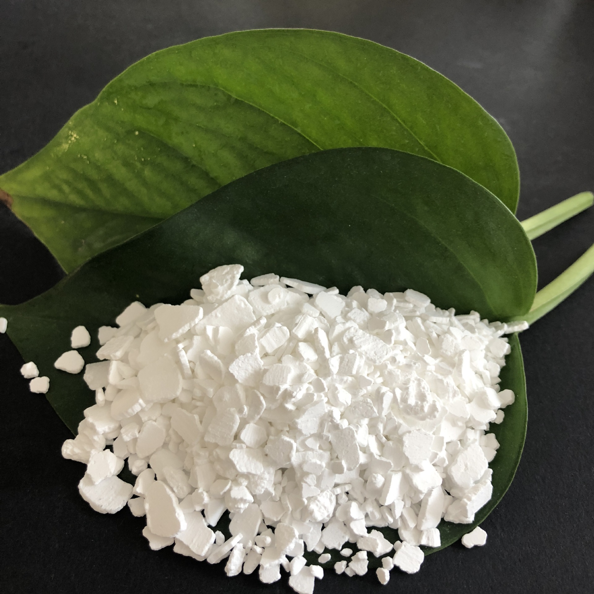 现货批发工业级二水氯化钙 74含量氯化钙片 工业用片状氯化钙厂家