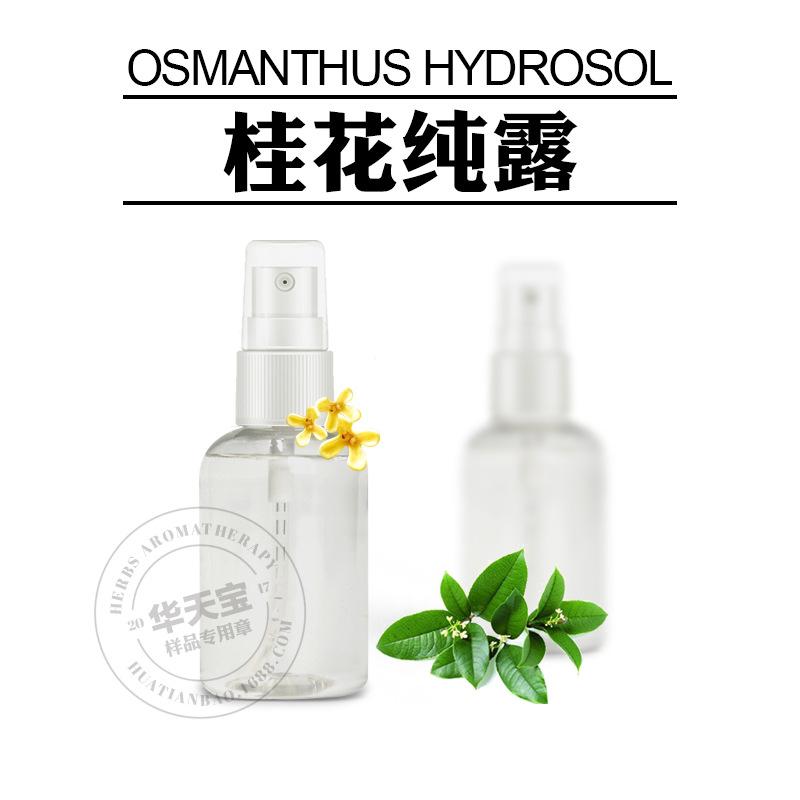桂花纯露 Osmanthus 桂花蒸馏原液 头道饱和纯露原料加工批发厂家