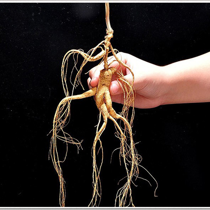 批发禾义源人参林下整枝干货长白山16年林下参林下山参礼盒干参