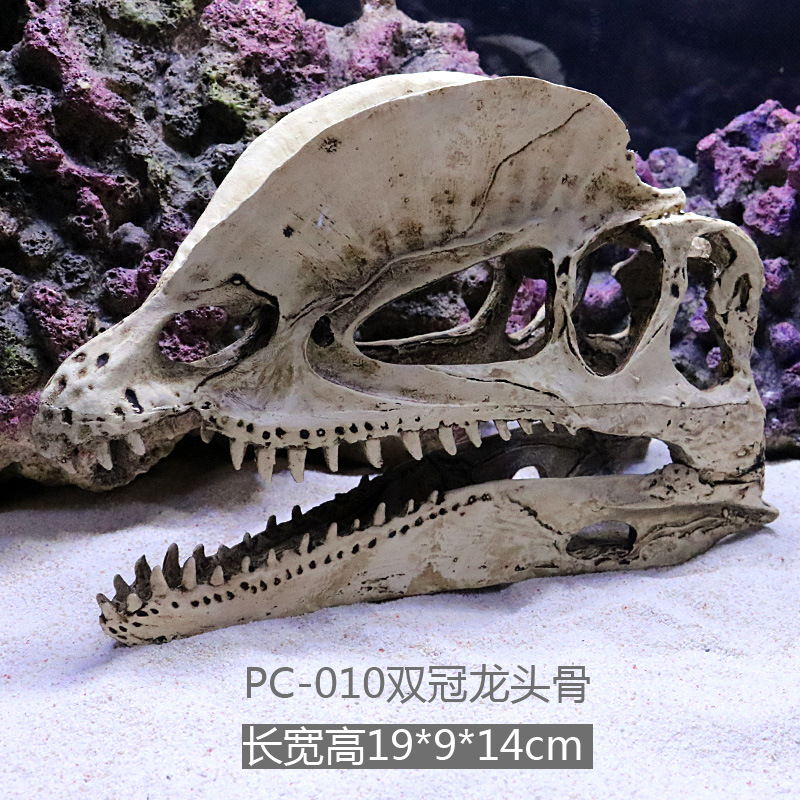 Cráneo de dinosaurio resina escalada mascotas crawlers plantas acuáticas paisaje simulación cráneo tanque de peces acuario tanque de peces adornos