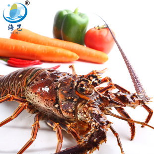 ���l�W�޴����r ����t���r ���r��˹�D���r������ Ҏ���Rȫ