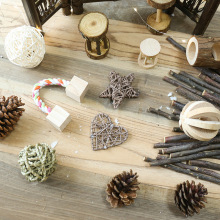 亚马逊ebay wish仓鼠兔子鸟类豚鼠磨牙小玩具苹果枝木质宠物用品