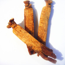 ���l�����10�l��������ζ�����w���^�S�����l�������պ�����