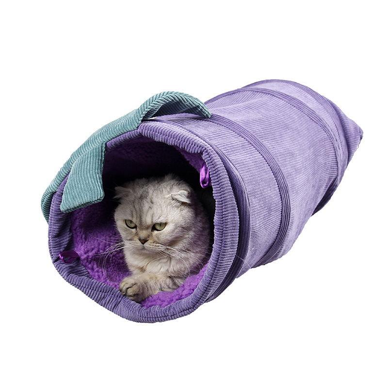 고양이 가지없이