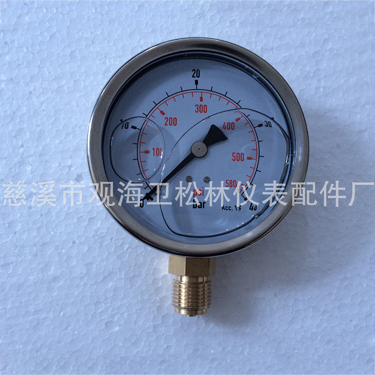 专业生产 直径100耐震充油压力表 压力范围40bar 580psi充油表