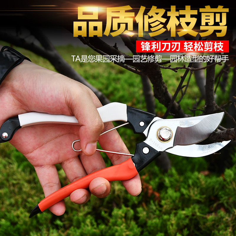 兰枝168修枝剪 红白柄 粗枝剪 园艺剪刀 高碳钢 锋利 果树剪