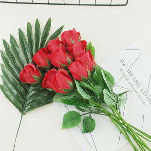 ����õ�廨���b������õ�廨�͏d�b��q���tõ�彁��ˇ�ɻ��[��