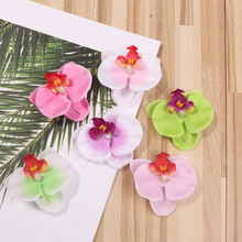 ���滨�^ �����m �ҾӔ[�O/��c�b� �Ʒ������b�OӋ 6.5cm���^