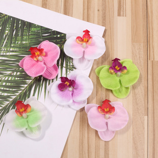 ���滨�^ �����m �ҾӔ[�O/��c�b� �Ʒ������b�OӋ 6.5cm���^