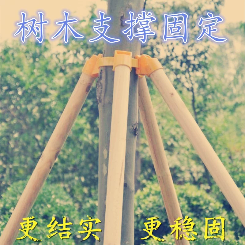 Опора для дерева Крепежная рама 50 Пряжка Опорный стержень для рассады большое дерево ветрозащитная пряжка для ремня 40 Пряжка Еловый стержень Сосна