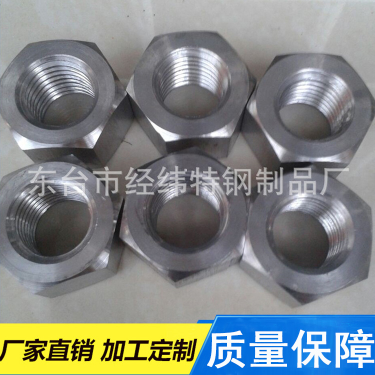 厂家供应 高强度S32760螺母 国标A级不锈钢外六角螺母 现货