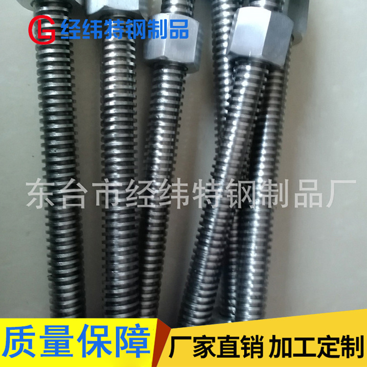 厂家供应 M20*4粗牙全螺纹丝杠 不锈钢加长丝杆 现货批发