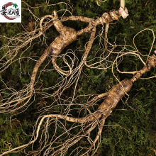 �S�����l�����r�˅��|���خaһ�����l�L��ɽ�˅������r��ɽ��