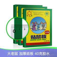 _ A1#A Ӻ ճճNSrֱl