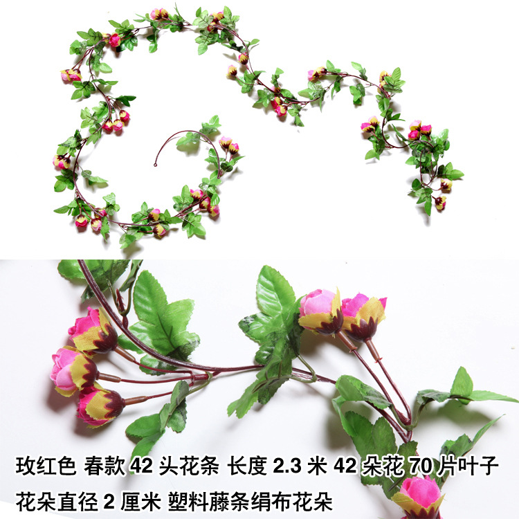 42 Primavera Rosa Roja