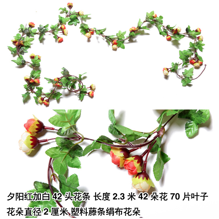 42 cabeza primavera puesta de sol rojo más blanco