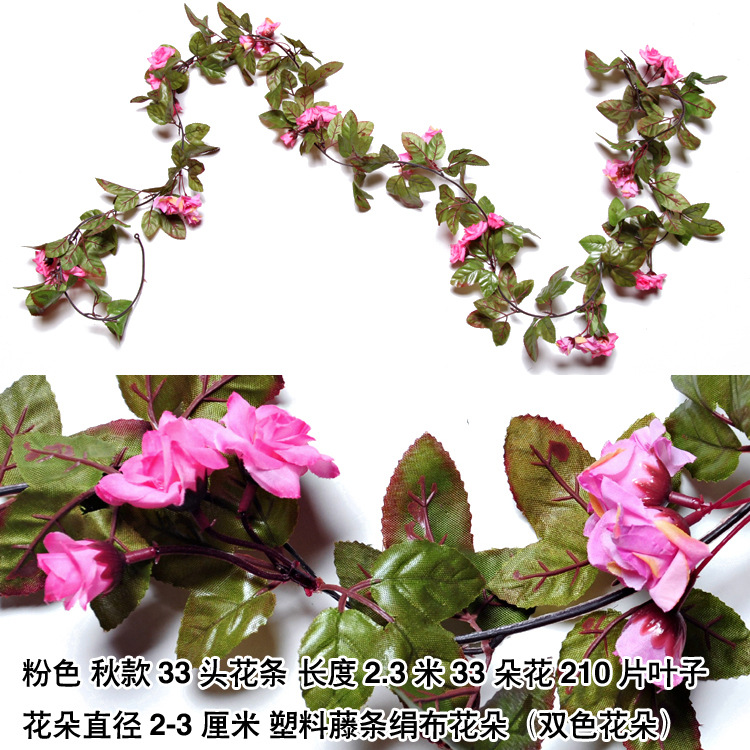 33 cabeza de otoño rosa