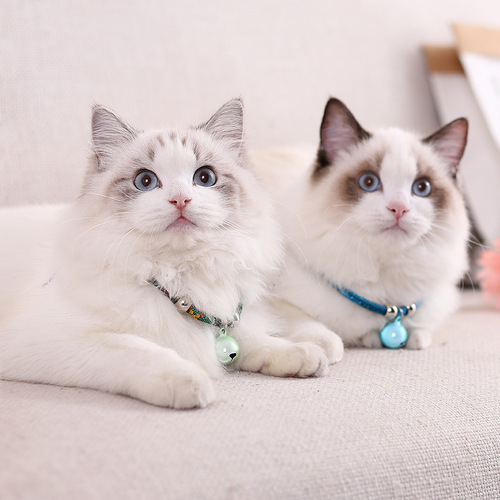 Factory direct sales Japanese Japanese style new style cat collar pet cat small dog dog bell collar