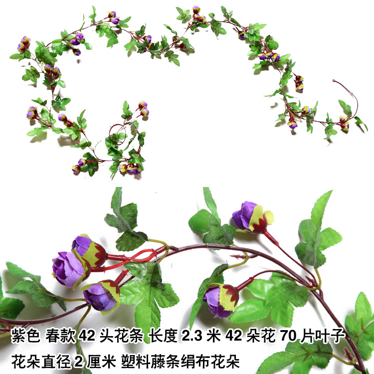 42 primavera púrpura