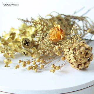 狂想者土豪金色系干花材ins北欧式轻奢系金银色干花干枝饰品