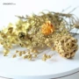 金色系金银色干花干枝干花