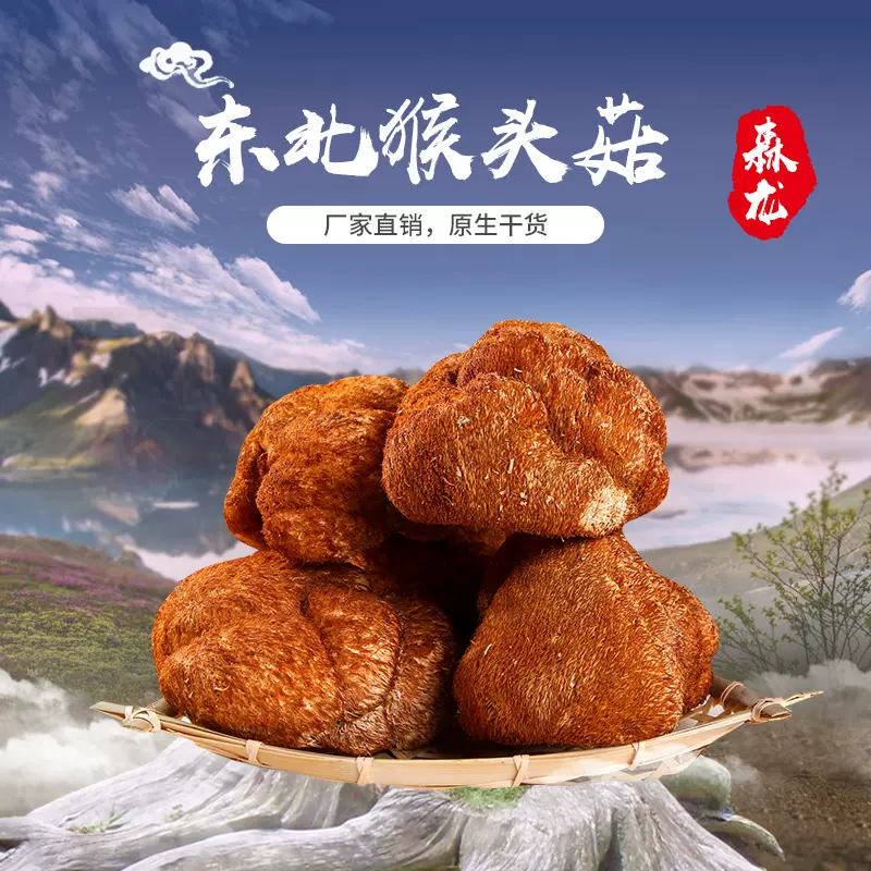 【一件代发】猴头菇干货250g蘑菇煲汤补胃食材东北特产猴头菌批发