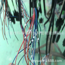 �V�|���lN��̖�a�� N���_�ڿ���̖�a�� �_��ʽ�˾��A �侀����ӛ