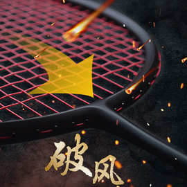 羽毛球拍全碳素超轻72克专业训练家庭通用成人羽毛球拍单拍男批发