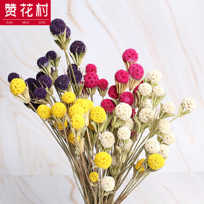 【贊花村】彩色幹花幹果路路通 雲南幹花花束 拍攝道具家庭裝飾花