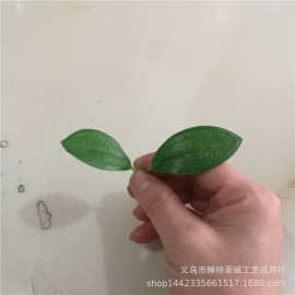 仿真植物仿真花叶配件 小两叉玉兰叶 过胶布叶子 植物墙把束叶片