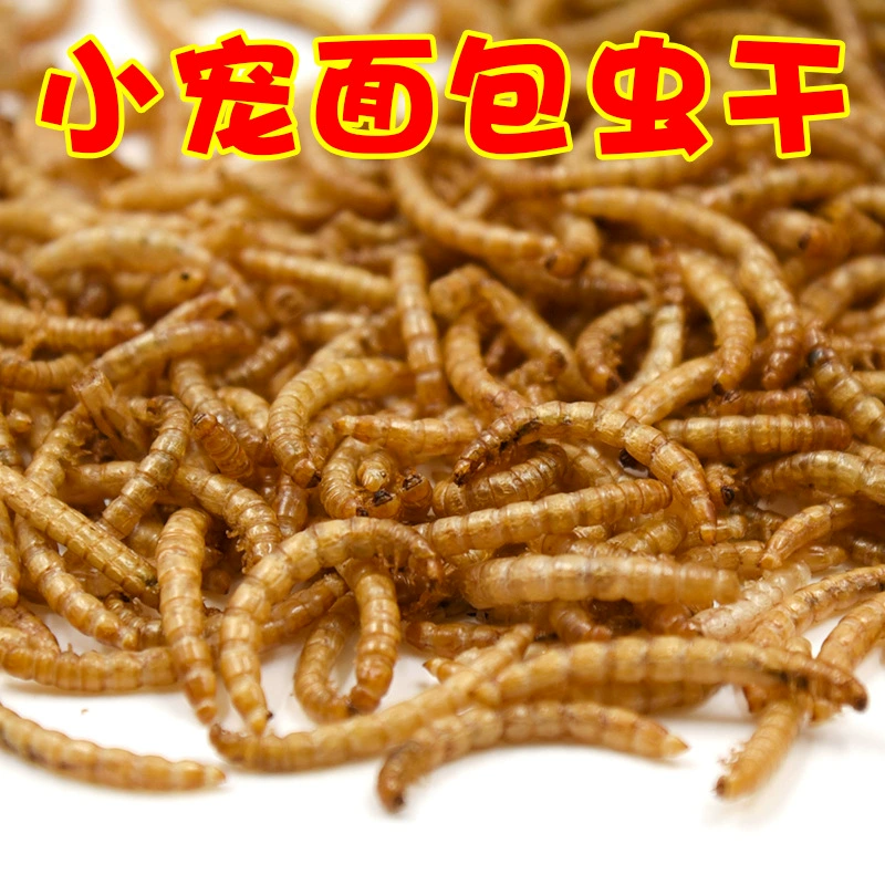 Сушеный хлебный червь оптом желтый мучной червь хомяк поставки еды закуски еж рыба птица корм черепаха еда птица 500 грамм