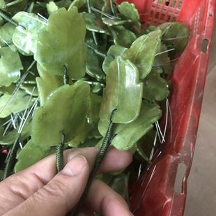 ��ʯ�辰�[�����l�Ҙ��~�ӽ��Ә��~��ĵ�����~��õ�廨�~�Ӱ��Ʒ