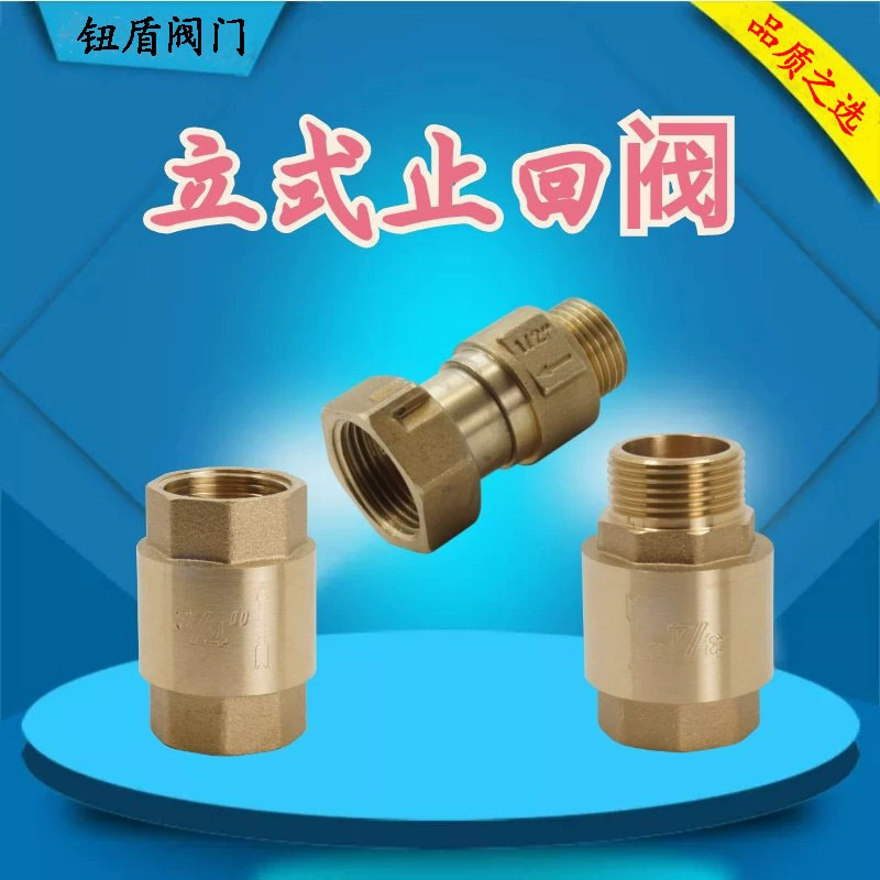 Вертикальный обратный клапан латунный счетчик воды передний внутренний и внешний провод союз обратный клапан 4 точки 6 точек