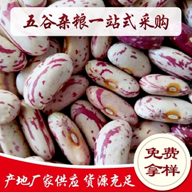 豆类;麦类;其他五谷杂粮