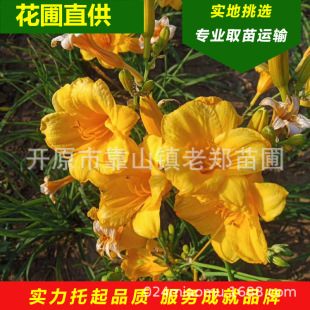 �F�� ��������� �ͺ��ر�ֲ�� �t���޻������^ �|���޸����ܻ���