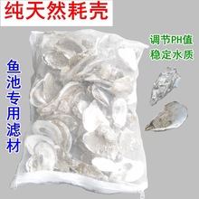 򺚤ĵϠ����򺚤�~���~����Ȼ�^�V�����\���~�ط���PHֵ500��