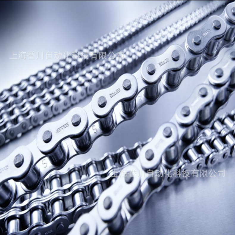 供应各种耐腐蚀工业链条链条,抗腐蚀链条德国伊维氏IWISDIN8187