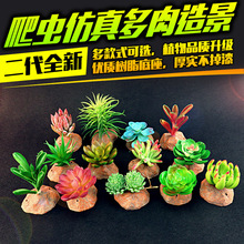 �������ֲ����������װ���������쾰 ��ֲ����ֲ ½����������