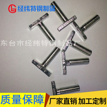 厂家供应 304不锈钢菱形螺杆菱形耐磨螺杆T型螺杆供应批发