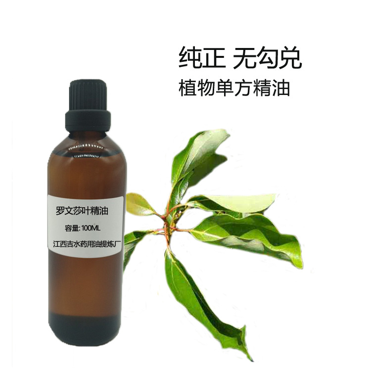 供应罗文莎叶精油 单方精油 100ML起售 批发