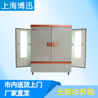 上海博迅     BSG-800     光照培养箱