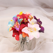 7cm�¿�����m�������ٻ����� DIY���h�^�Ь���b�������l