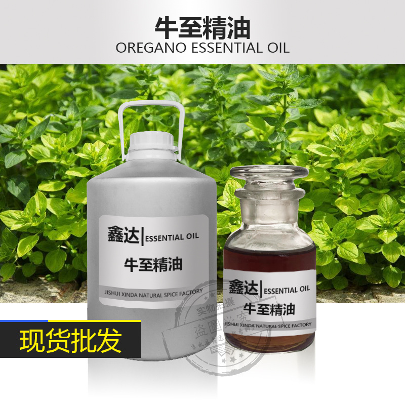 厂家销售 牛至油 香芹酚 CAS8007-11-2 植物精油 批发供应