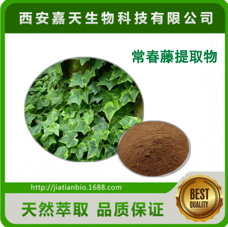 常春藤提取物10：1 常春藤皂甙 常春藤提取物厂家批发 比例提取