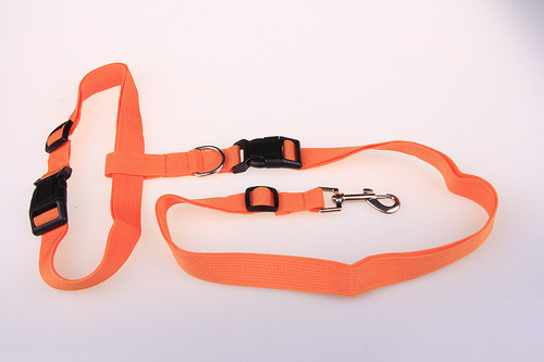 The manufacturer supplies large quantities of pet running harnesses and dog walking leashes, suitable for morning runs, fitness activities, and dog walks.