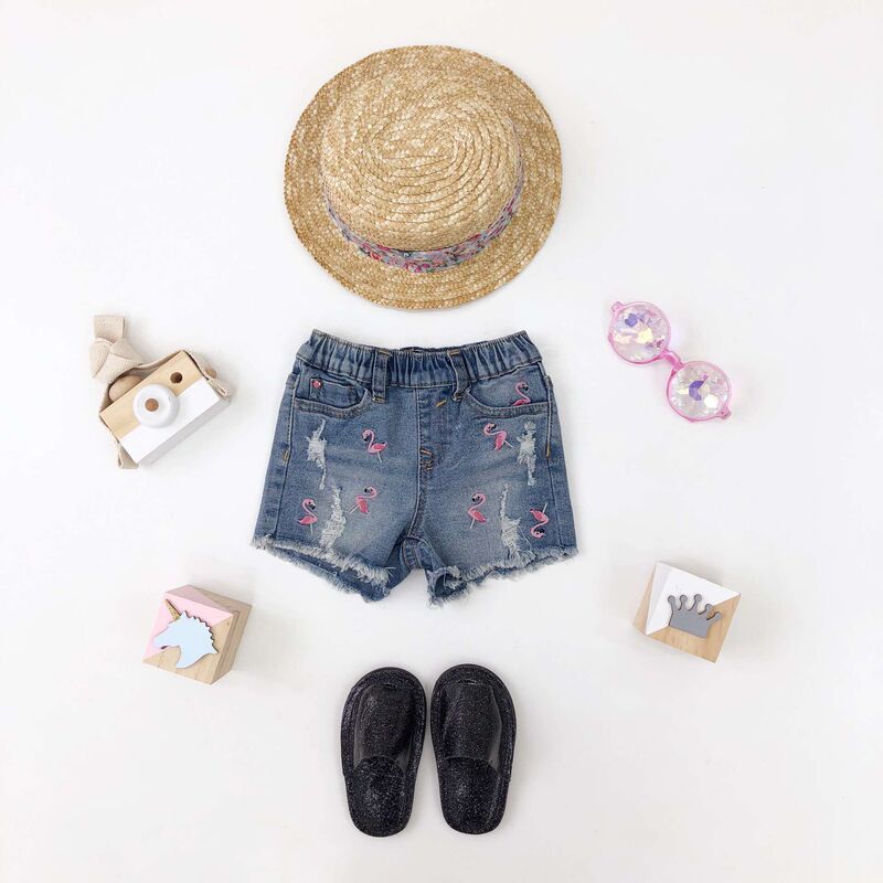 Free Shipping H1908 Flamingo Embroidered Denim Shorts Girls Ripped Jeans