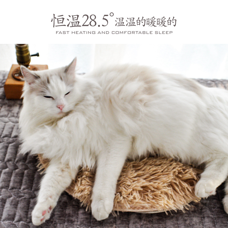 Pet manta eléctrica almohadilla térmica temperatura constante impermeable anti-arañazos anti-fugas perro gato especial gato pequeño calentador