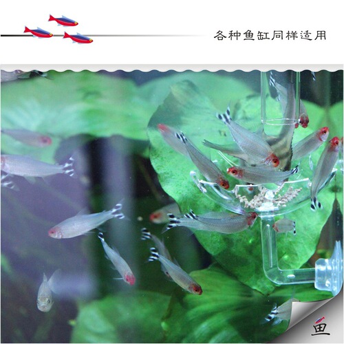 Pastoral Walking Feeding Tube, Fish Tank Feeding Tube, Shrimp Food Feeding Tube, Aquarium Feeder, Crystal Shrimp Basin