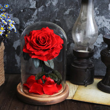 永生花成品玻璃罩礼盒214情人节礼物小王子玫瑰工厂货源批发代发